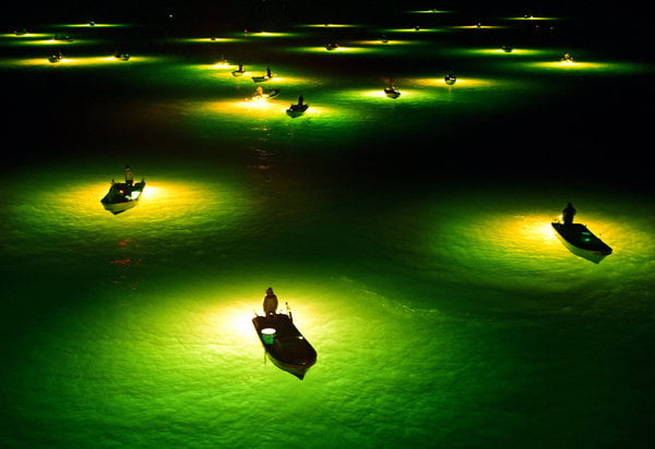 Ngư dân rọi đèn đánh bắt lươn trơn (hay còn gọi là lươn thủy tinh) trên sông Yoshino, Nhật Bản