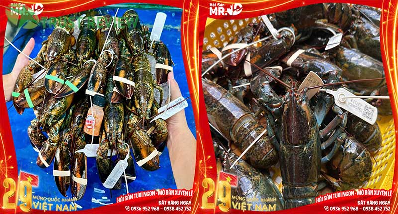 Vựa hải sản Tân Bình chất lượng tươi sống, giá rẻ