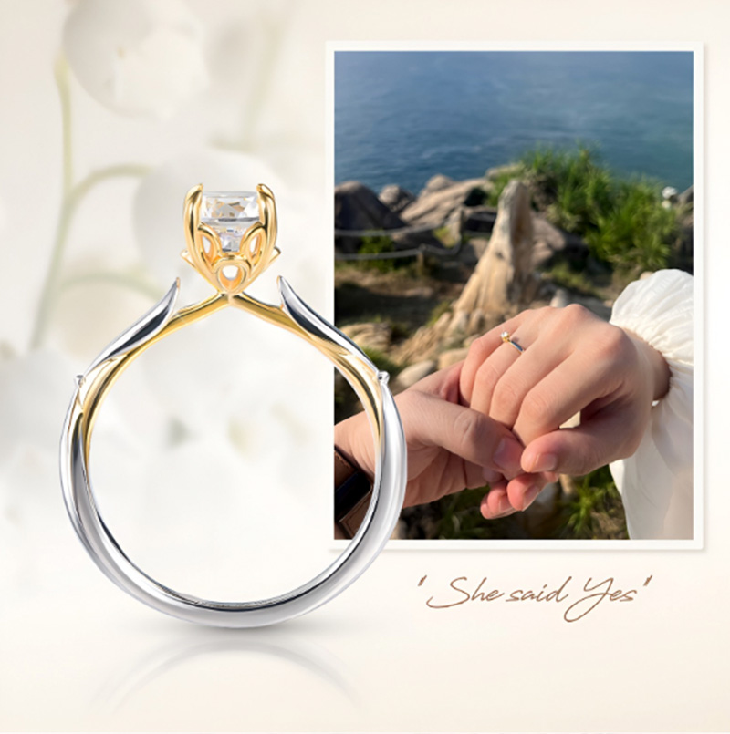 10+ Kịch bản cầu hôn bạn gái lãng mạn, ngọt ngào và bất ngờ nhất 27 Kịch bản cầu hôn trong chuyến du lịch xa