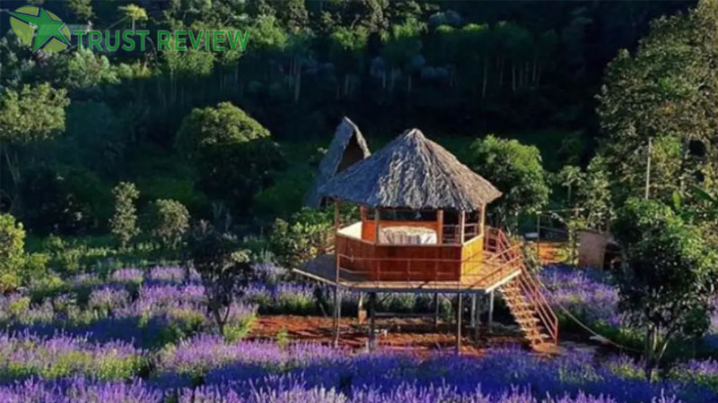 Review các địa điểm du lịch Đà Lạt hấp dẫn và đẹp nhất 13 Review các địa điểm du lịch Đà Lạt hấp dẫn và đẹp nhất