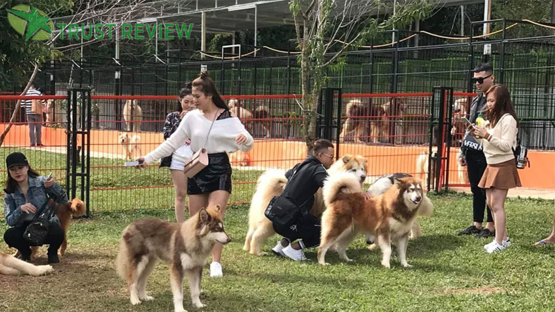 Review các địa điểm du lịch Đà Lạt hấp dẫn và đẹp nhất 17 Review các địa điểm du lịch Đà Lạt hấp dẫn và đẹp nhất