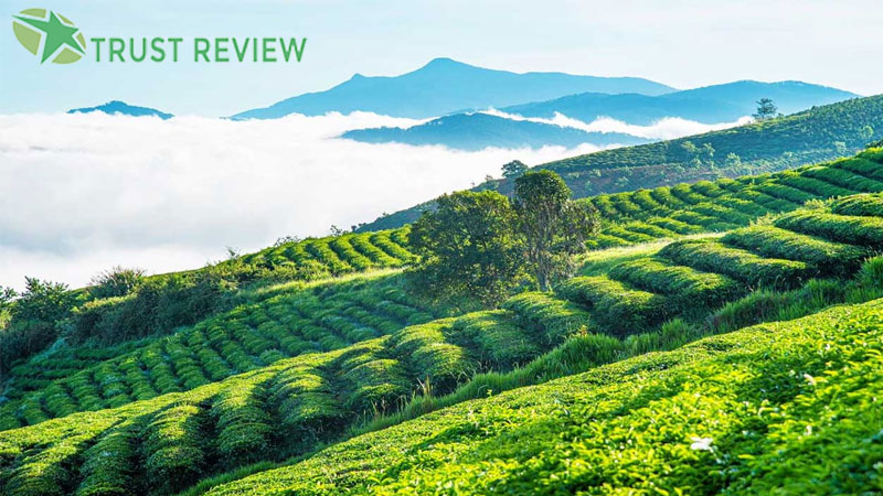 Review những địa điểm ngắm bình minh ở Đà Lạt siêu đẹp 14 Review những địa điểm ngắm bình minh ở Đà Lạt siêu đẹp