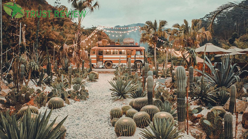 Review những địa điểm ngắm bình minh ở Đà Lạt siêu đẹp 16 Review những địa điểm ngắm bình minh ở Đà Lạt siêu đẹp