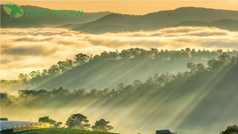 Review những địa điểm ngắm bình minh ở Đà Lạt siêu đẹp 10 Review những địa điểm ngắm bình minh ở Đà Lạt siêu đẹp