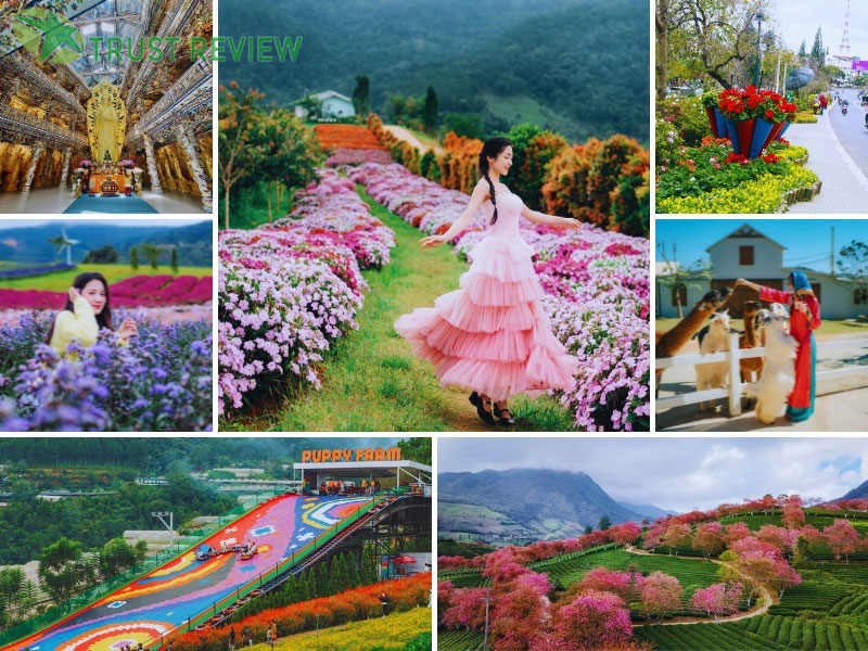 Kinh nghiệm đi du lịch Đà Lạt dịp tết nguyên đán 7 Kinh nghiệm đi du lịch Đà Lạt dịp tết nguyên đán