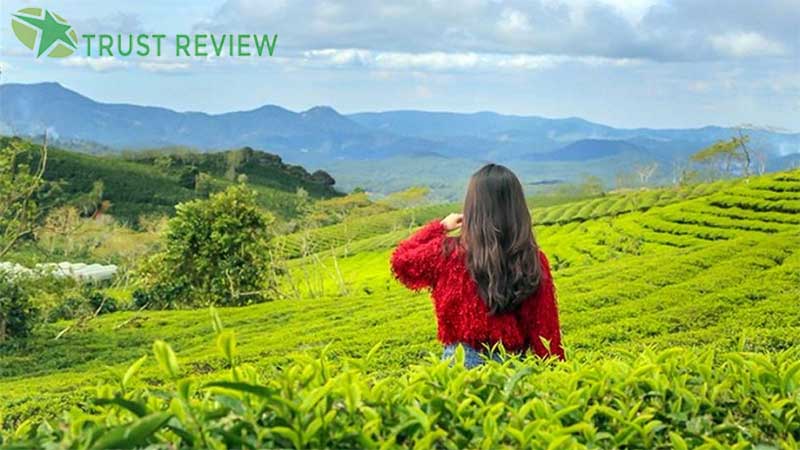 Checkin những địa điểm chụp hình đẹp ở Đà Lạt 8 Checkin những địa điểm chụp hình đẹp ở Đà Lạt