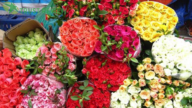 Tìm hiểu ý nghĩa của hoa hồng và socola ngày valentine 22 Tìm hiểu ý nghĩa của hoa hồng và socola ngày valentine