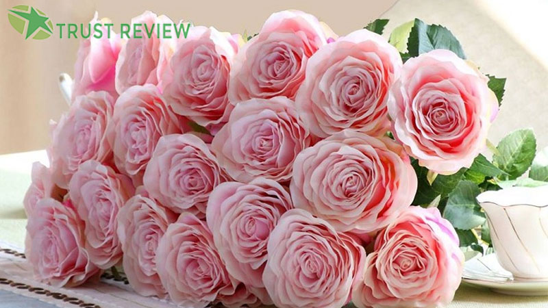 Ý nghĩa hoa hồng valentine tặng nhau dịp 14/2 8 Ý nghĩa hoa hồng valentine tặng nhau dịp 14/2