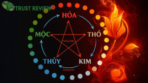 chong menh kim vo menh tho co hop nhau khong 1