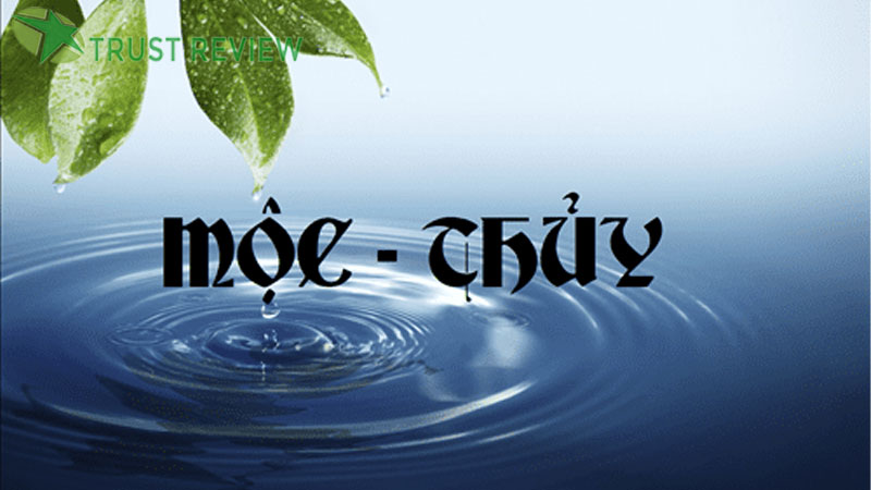 Chồng mệnh thủy vợ mệnh mộc có hợp nhau không? 6 Chồng mệnh thủy vợ mệnh mộc có hợp nhau không?
