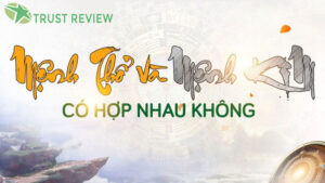 vo menh tho chong menh kim co hop nhau khong