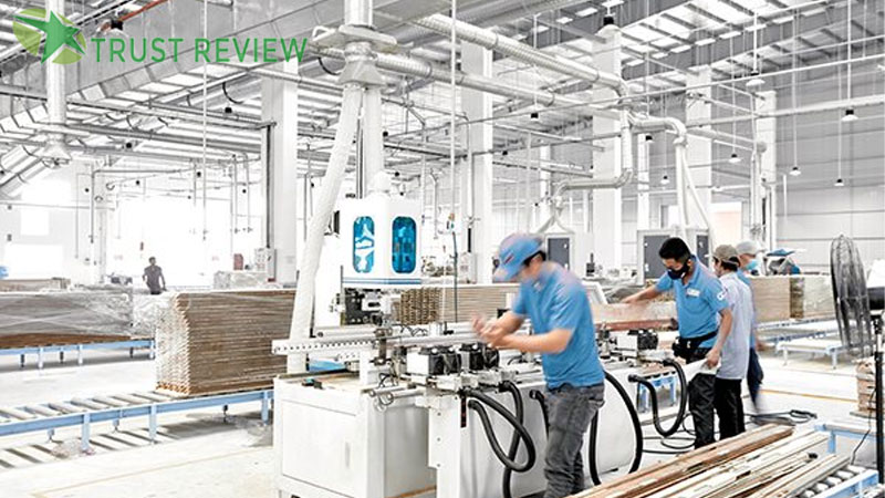 cong ty san xuat van ep plywood