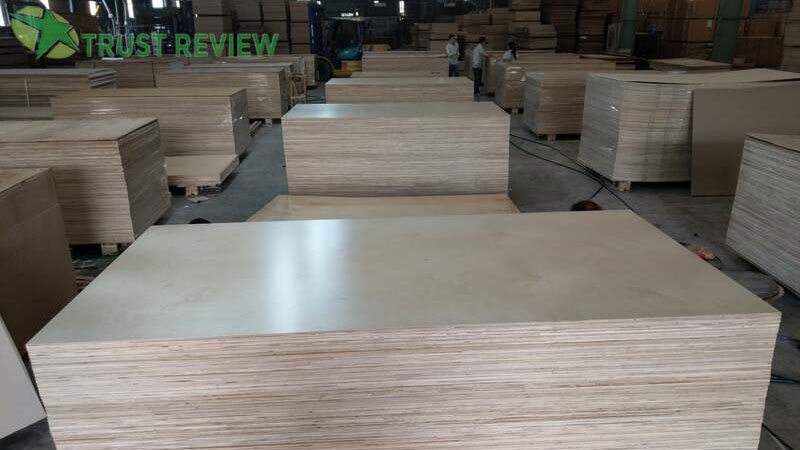 TOP 8 nhà cung cấp ván ép, gỗ ghép giá rẻ uy tín tại Tp. HCM 9 TOP 8 nhà cung cấp ván ép, gỗ ghép giá rẻ uy tín tại Tp. HCM